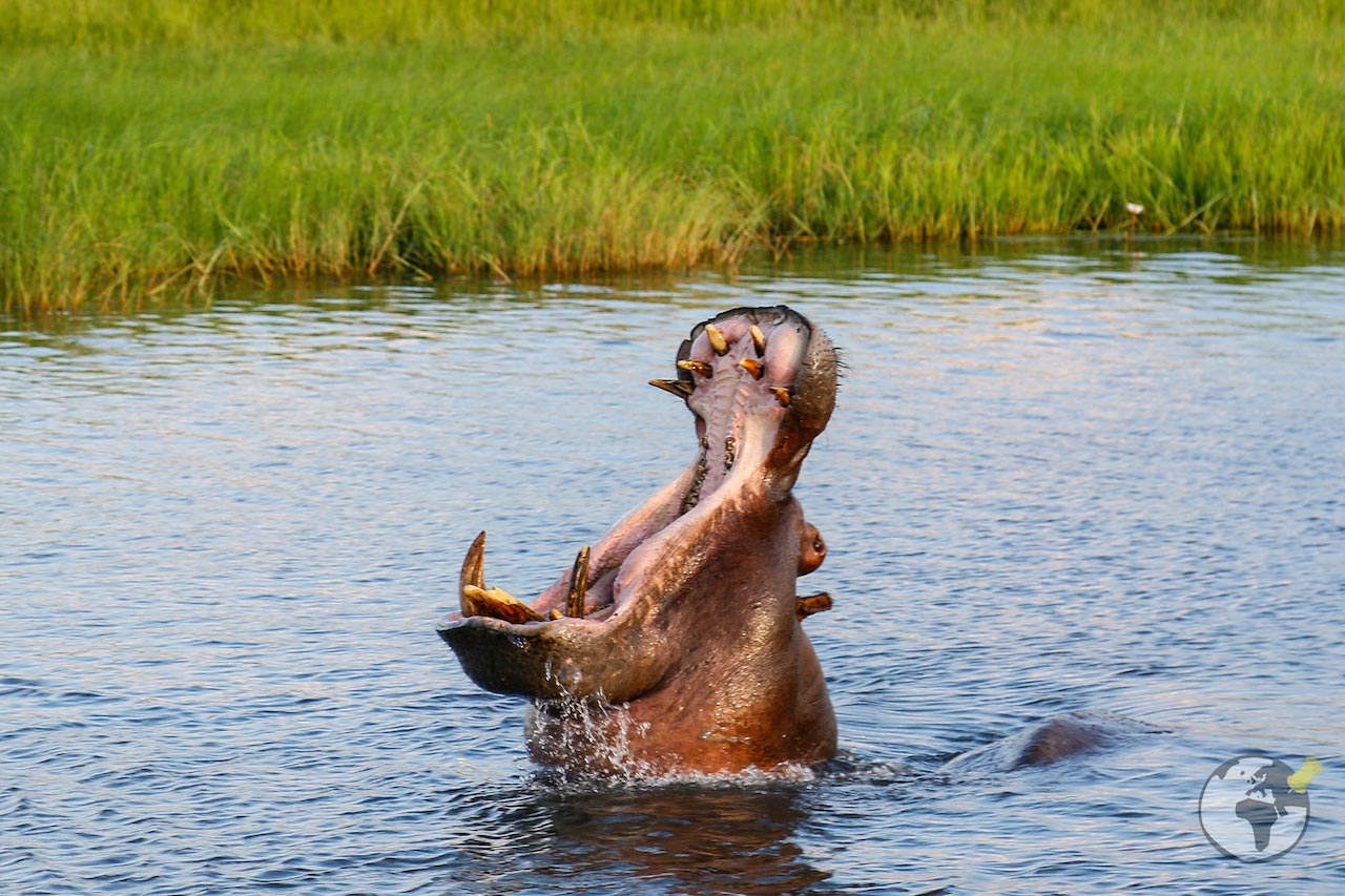 Turismo_em_Botswana