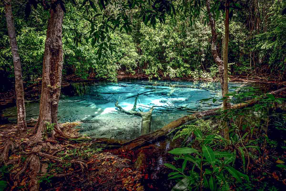 Piscina natural de águas azul-turquesa cercada por vegetação densa na floresta de Krabi.