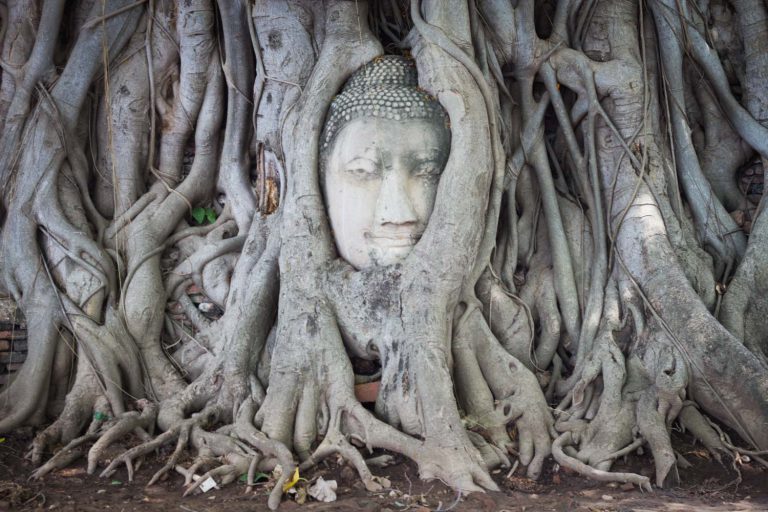 O que fazer em Ayutthaya na Tailândia: dicas e roteiro de 1 dia