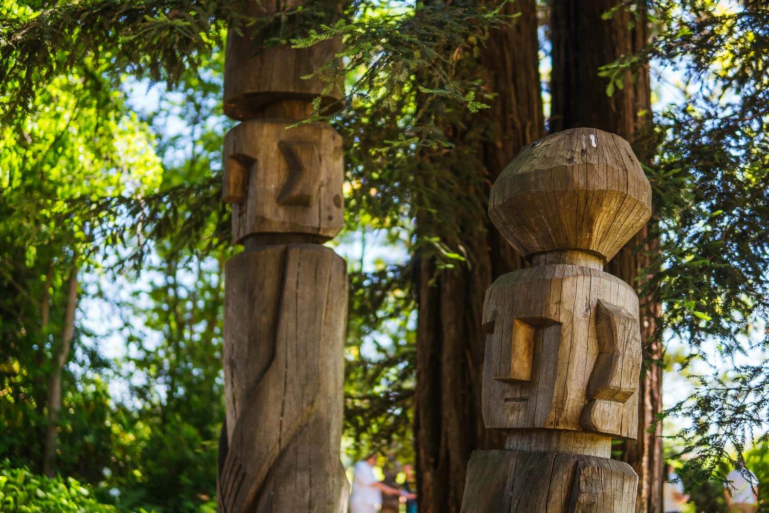 Vinícola Undurraga - Mapuche