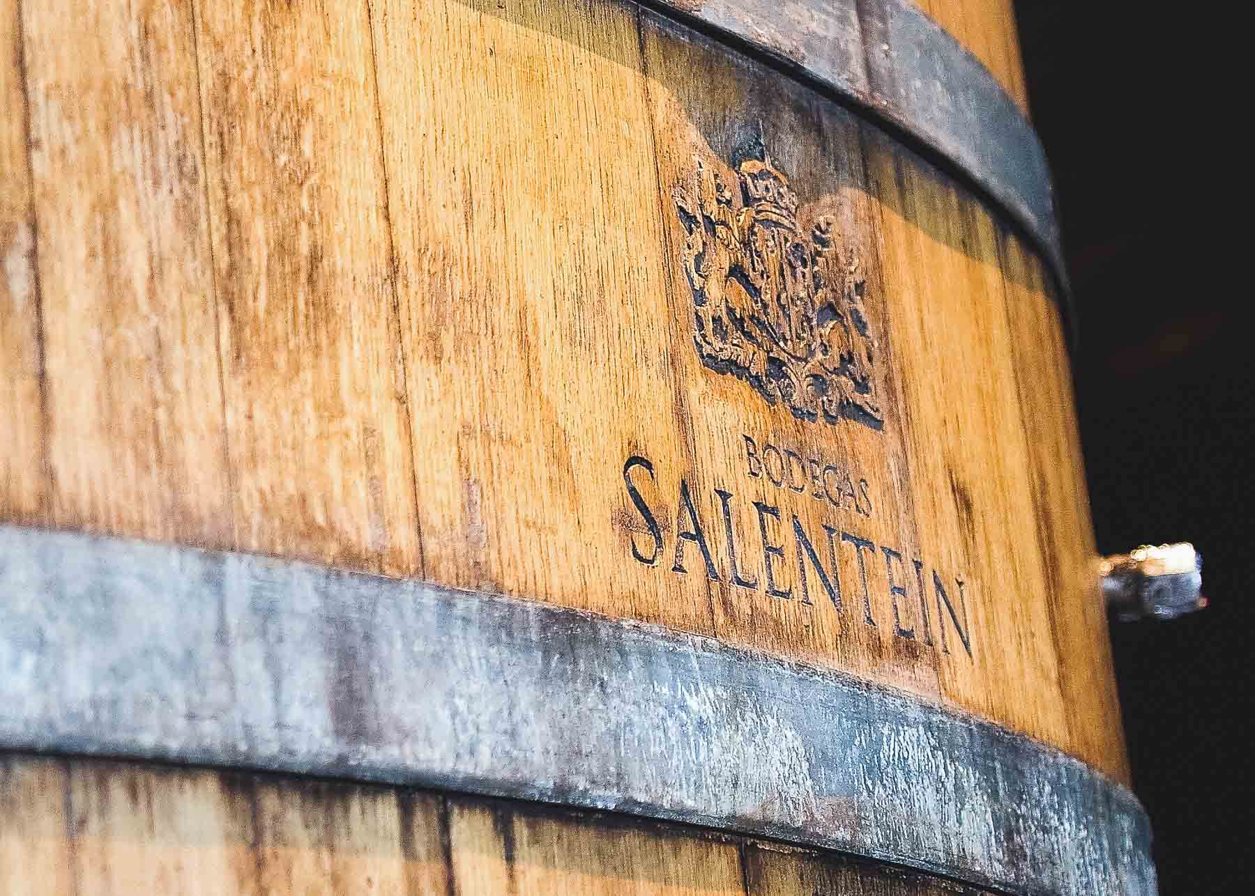 Vinícolas em Mendoza - Salentein