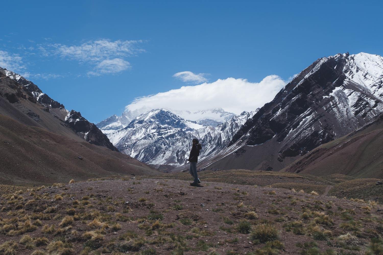 Vinícolas em Mendoza - Alta Montanha