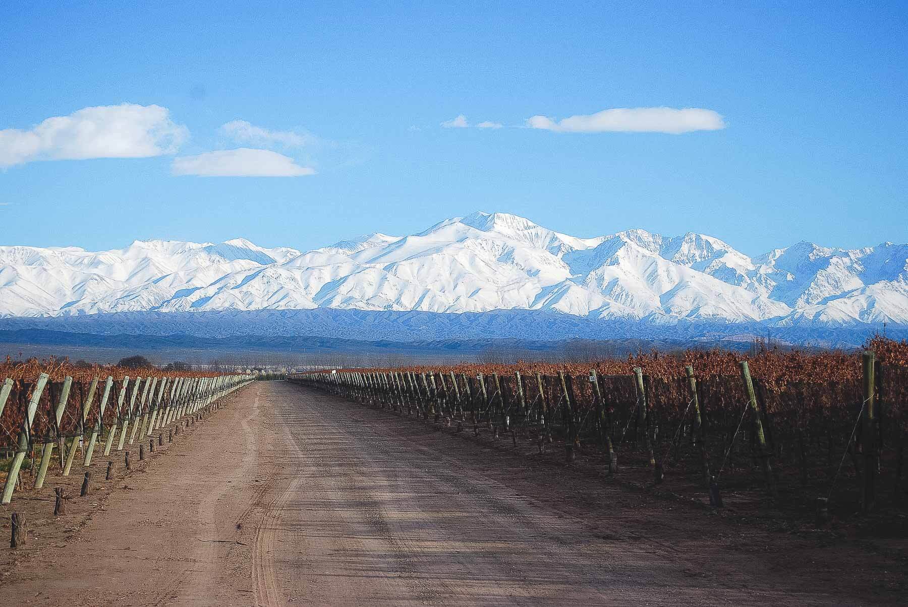 Vinícolas em Mendoza - Andes