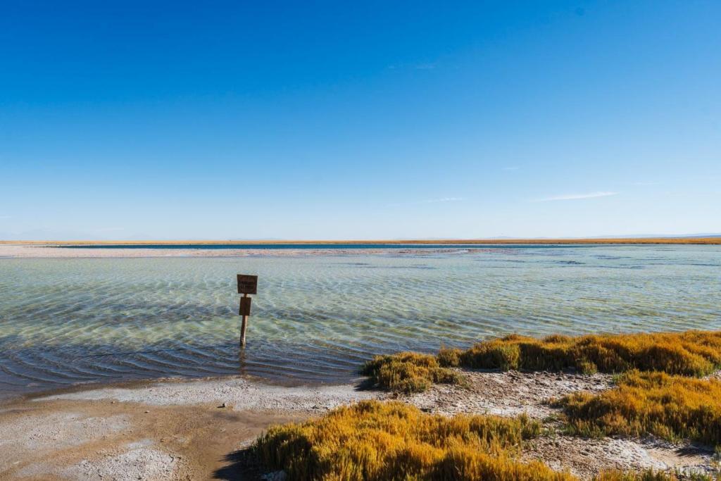 Deserto do Atacama Chile - Foto da Laguna Cejar das águas transparentes tirada de um dos mirantes