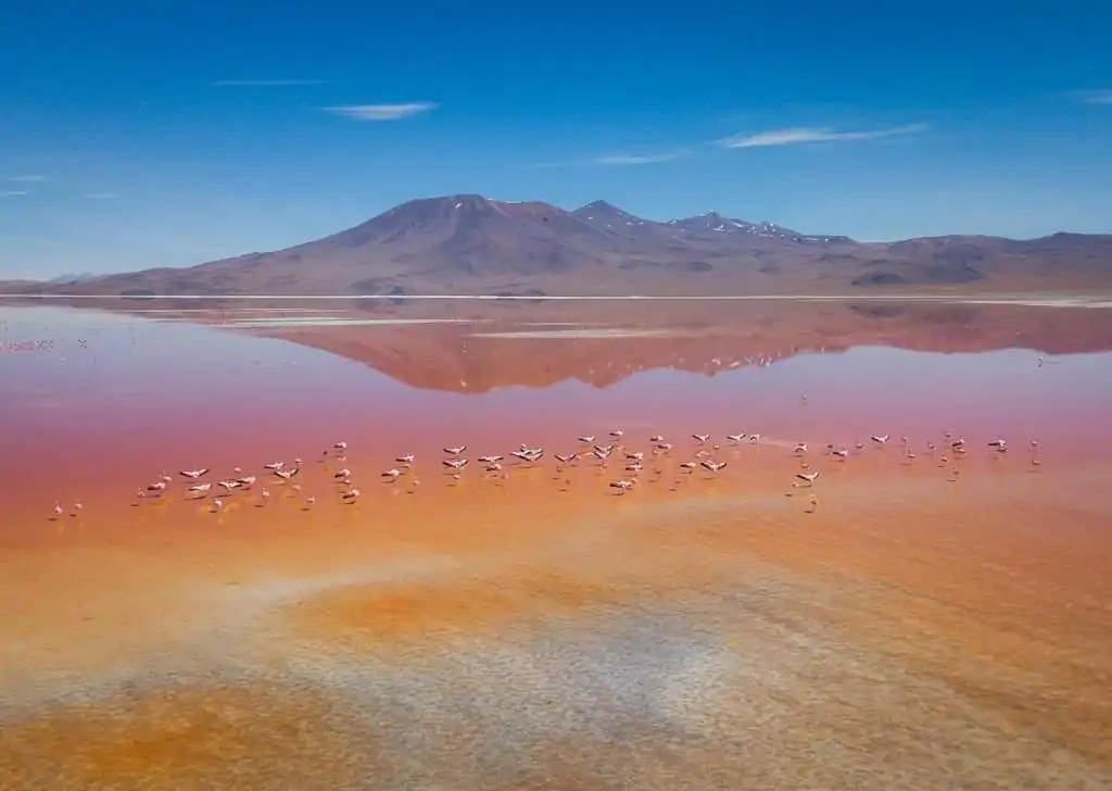 Salar de Uyuni - Foto aéra da Laguna Colorada com Flamingos voando