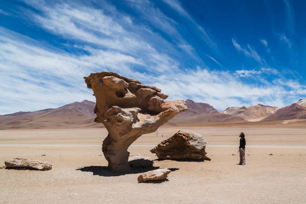 Salar de Uyuni - Foto de uma rocha que com ação dos ventos e erosão ficou parecendo uma árvore