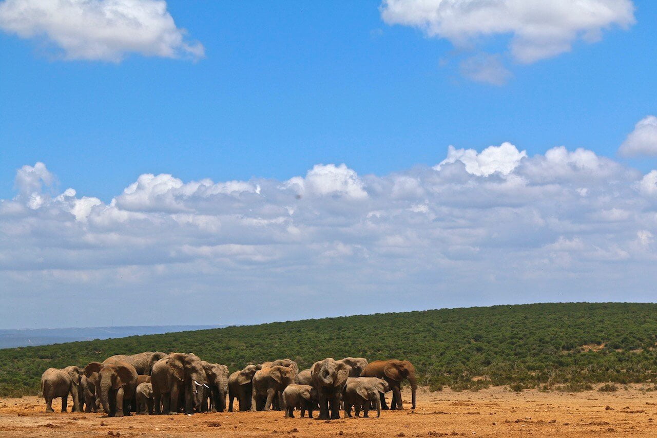 Viagem para África do Sul