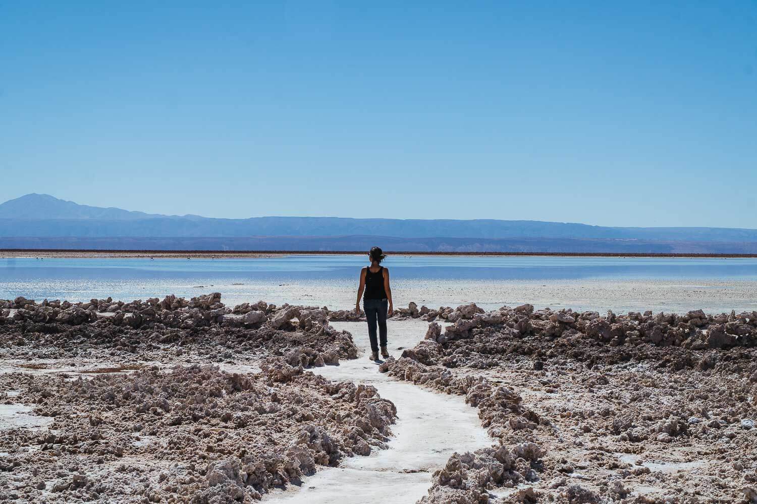 Dri andando pelo Salar de Atacama - Lagunas Altiplanicas Piedras Rojas Salar do Atacama Laguna Chaxa