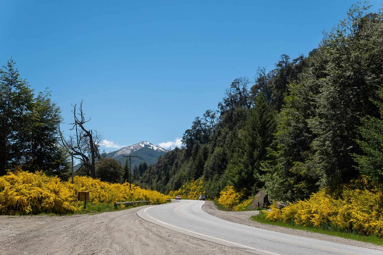 Estrada com Árvores amarelas no outono - O que fazer em Villa la Angostura