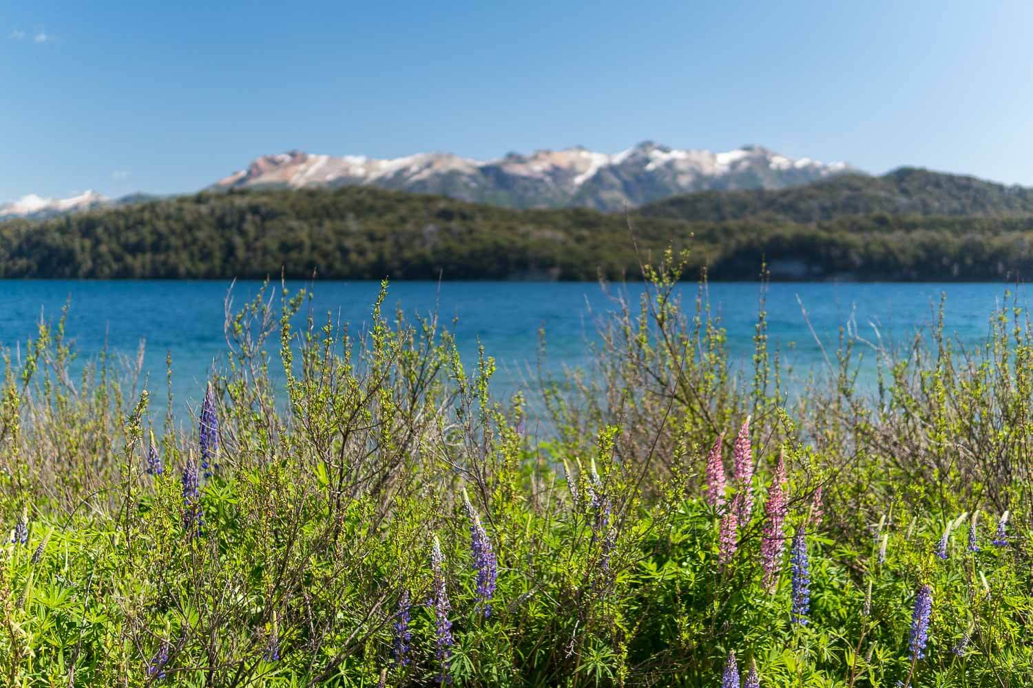 Foto do Lago Nahuel Huapi - O que fazer em Villa la Angostura