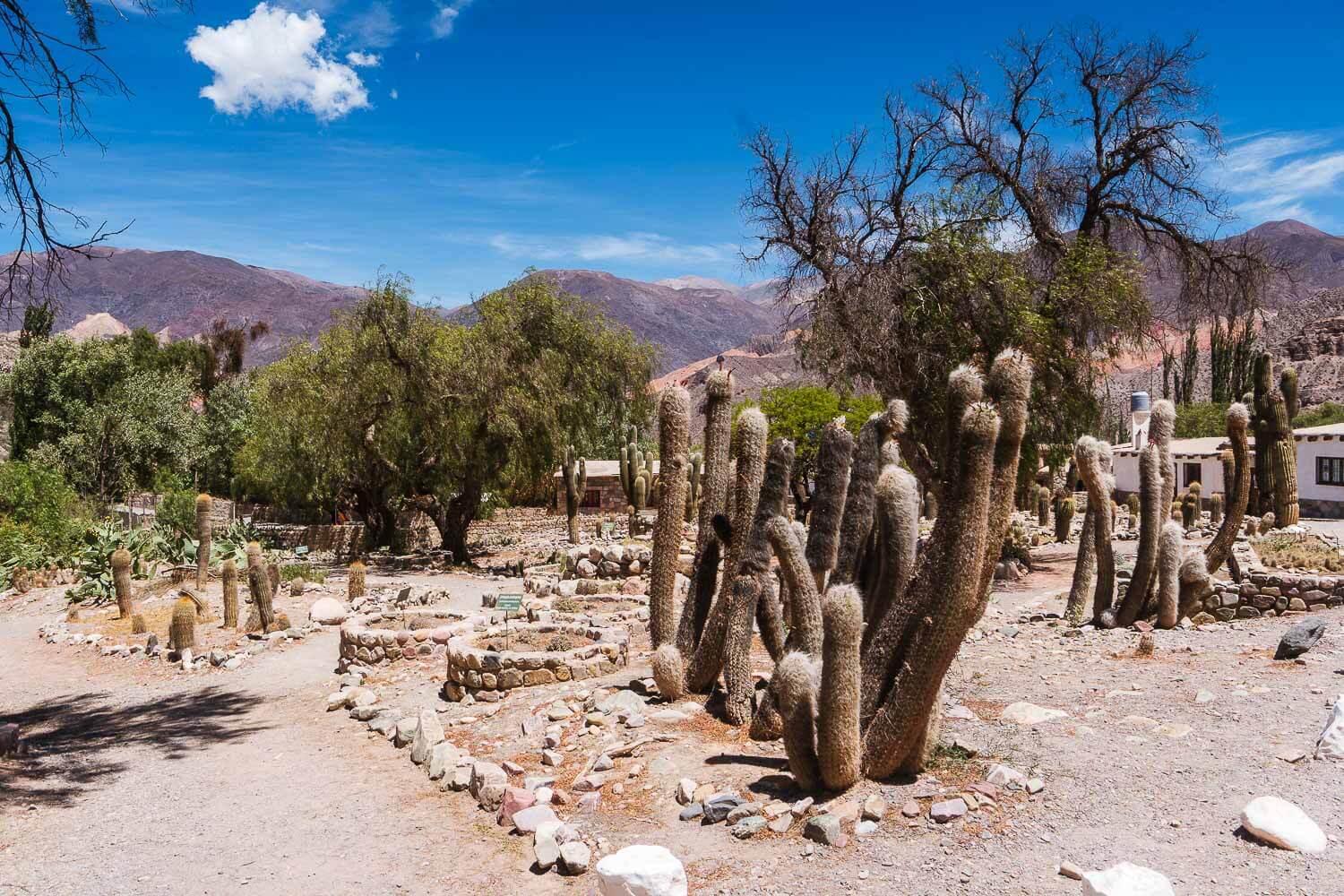 Quebrada de Humahuaca e Cerro de 14 colores - Jardim Botânico