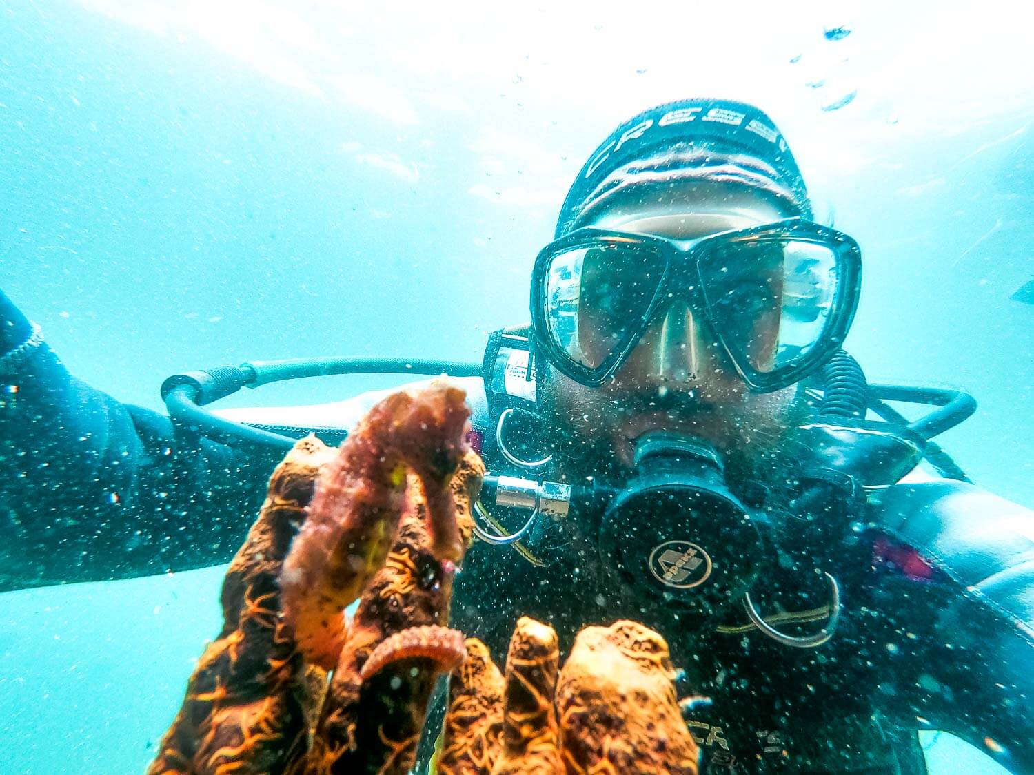 Mergulho em Arraial do Cabo - Selfie com cavalo marinho