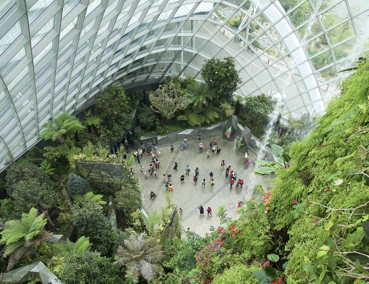 Interior da estufa Cloud Forest em Singapura, vista de cima, com cachoeira e vegetação tropical.