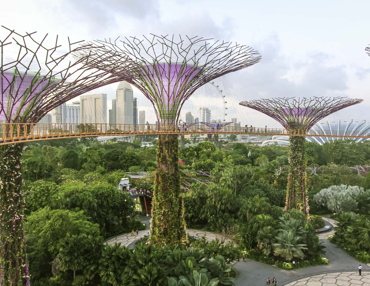 Estruturas verticais do Supertree Grove com passarela suspensa e o skyline de Singapura ao fundo.