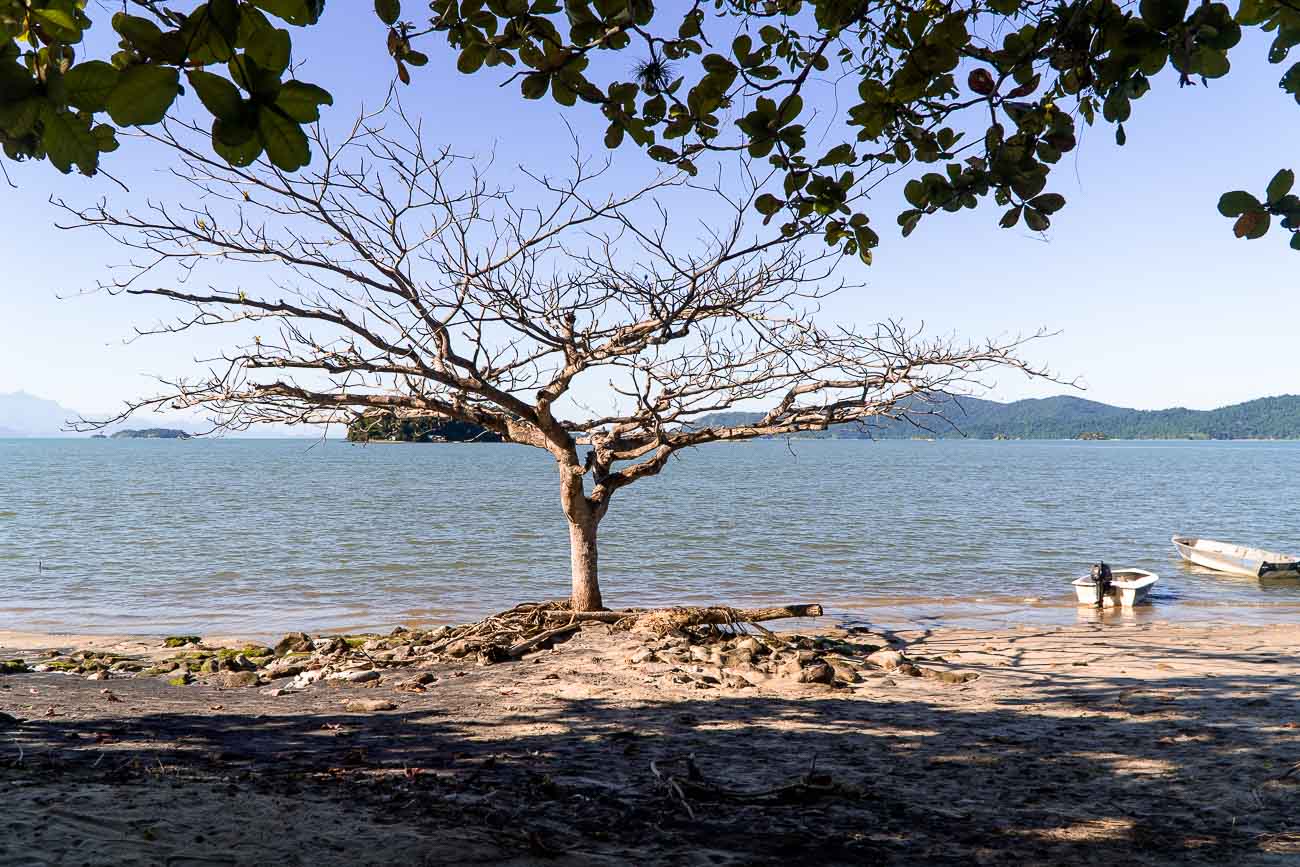 O que fazer em Paraty - Jabaquara