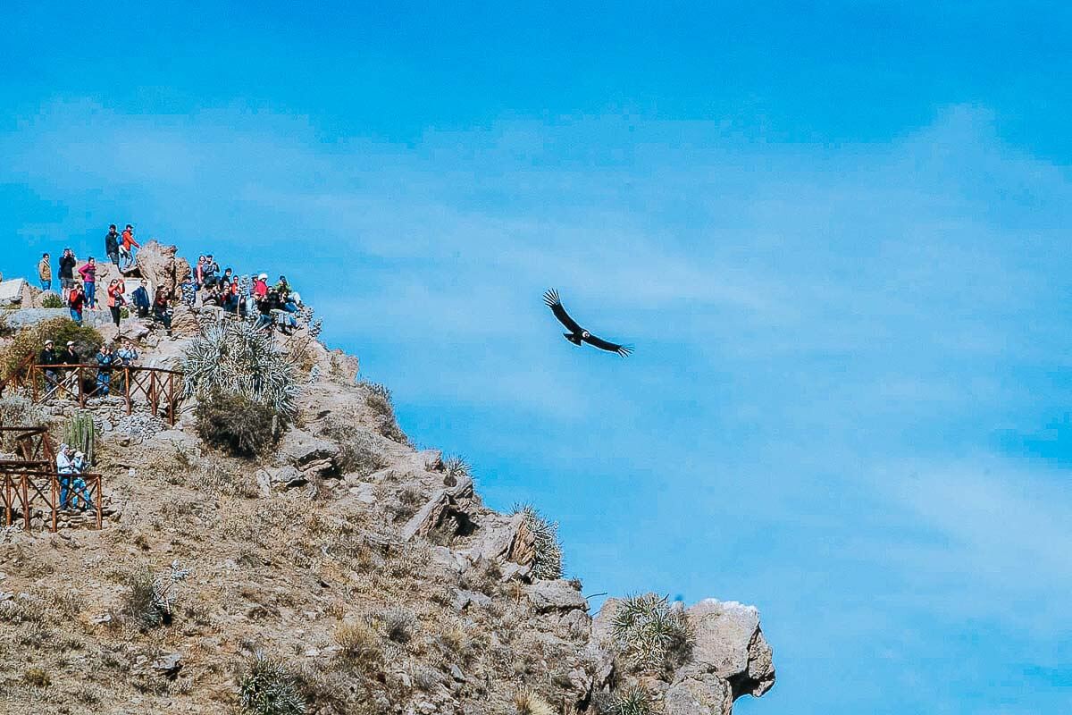 Roteiro Peru - O que fazer no Peru - Colca Canyon