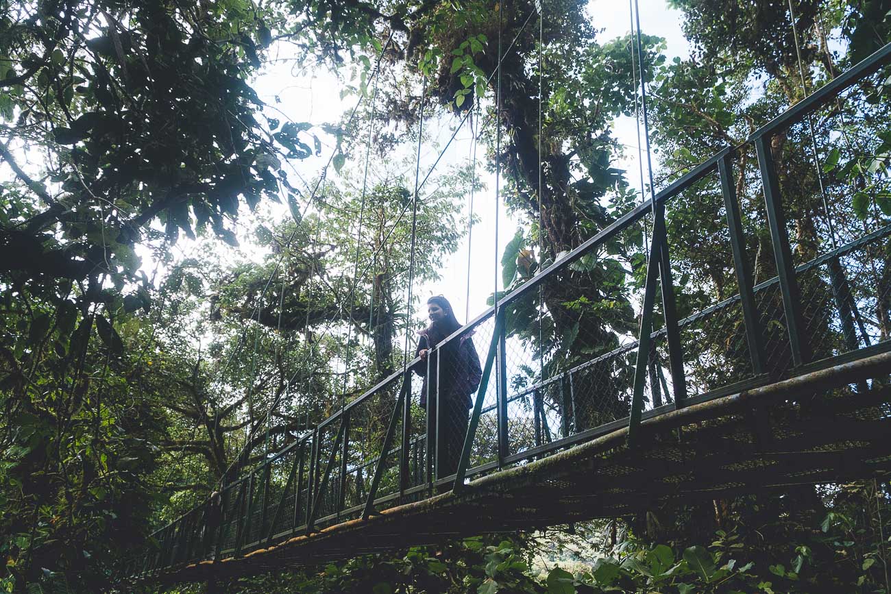 O que fazer em Monteverde - Dri na floresta