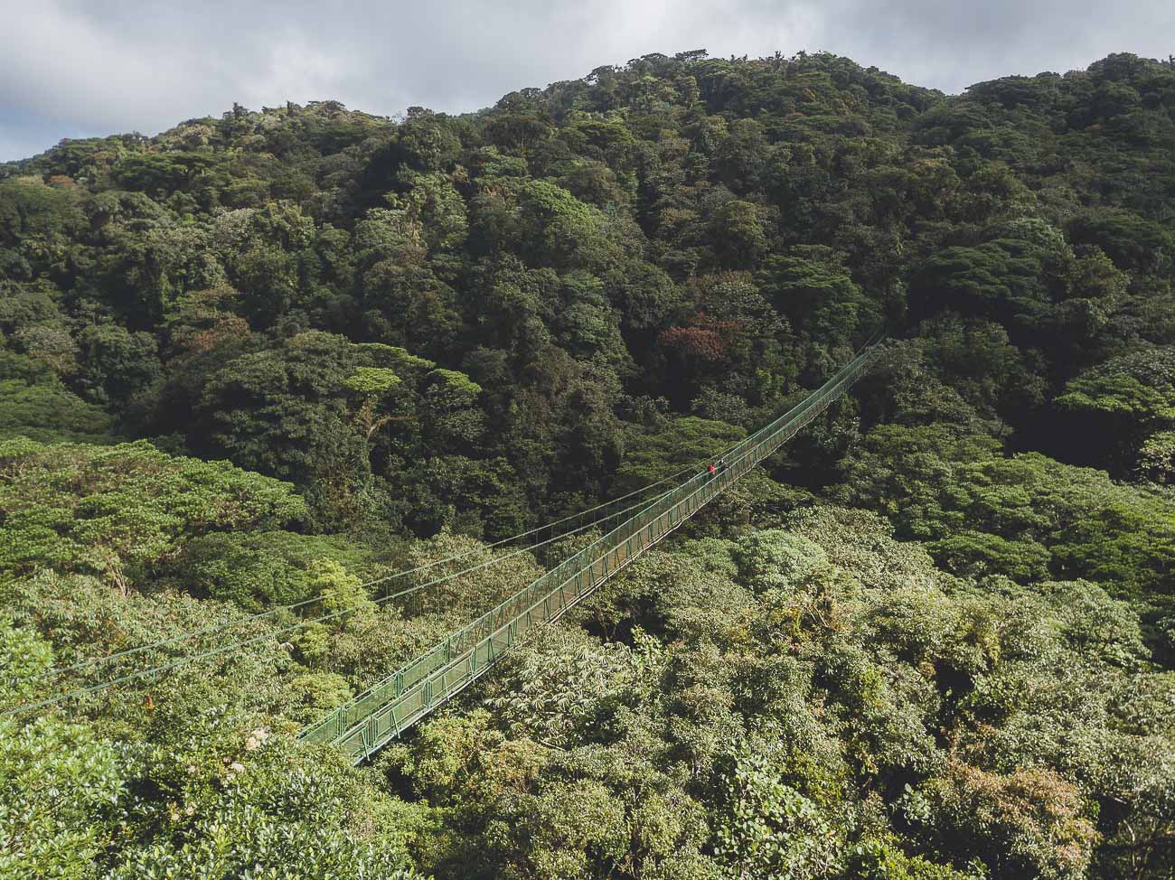 O que fazer em Monteverde - Ponte Suspensa