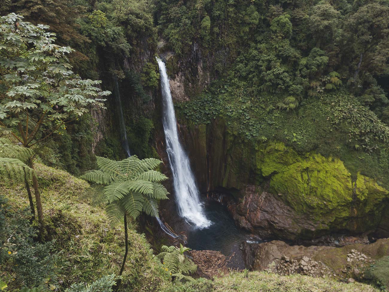O que fazer em San Jose, Costa Rica - Catarata Del Toro