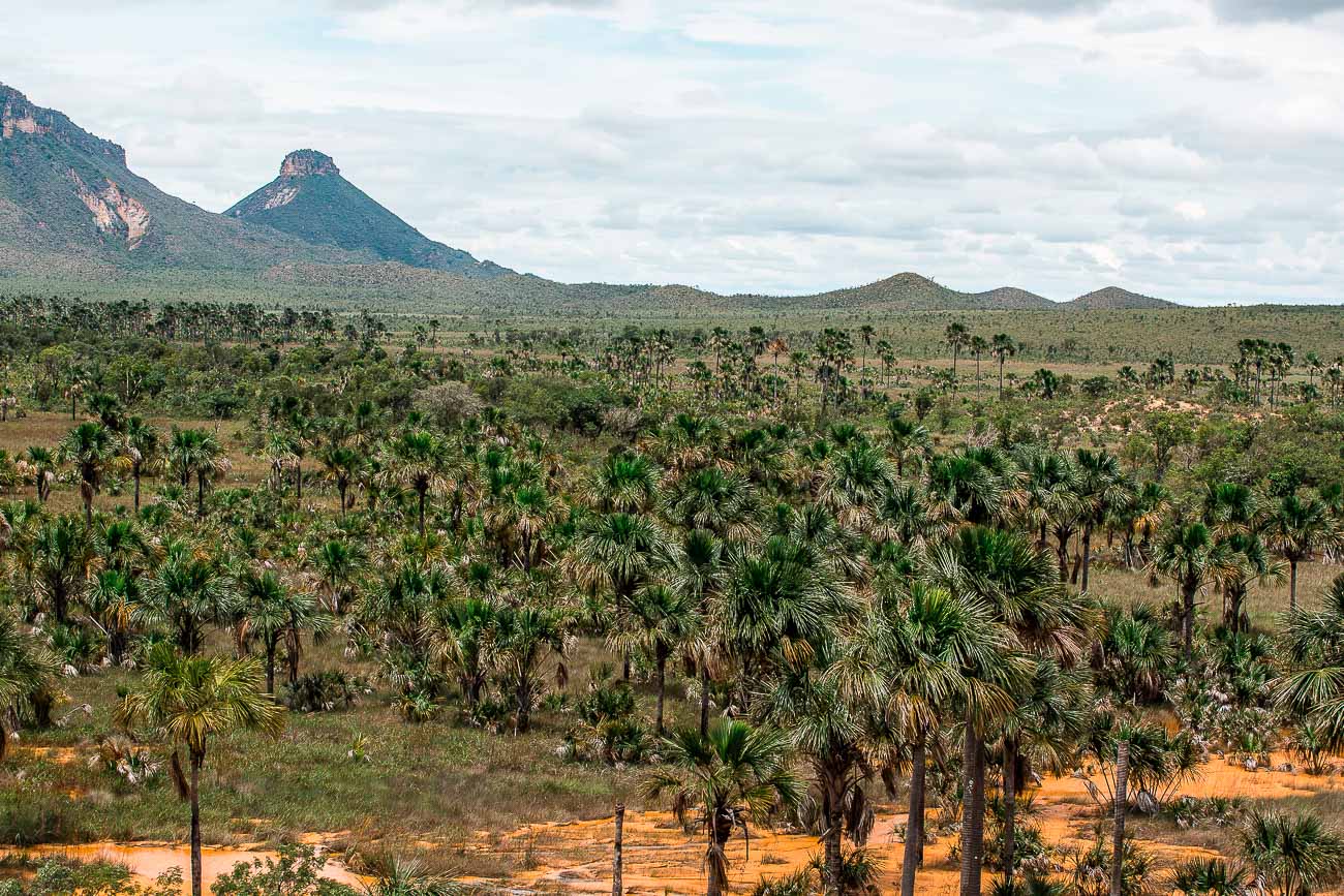 Viagem para o Jalapão - Parque Estadual do Jalapão