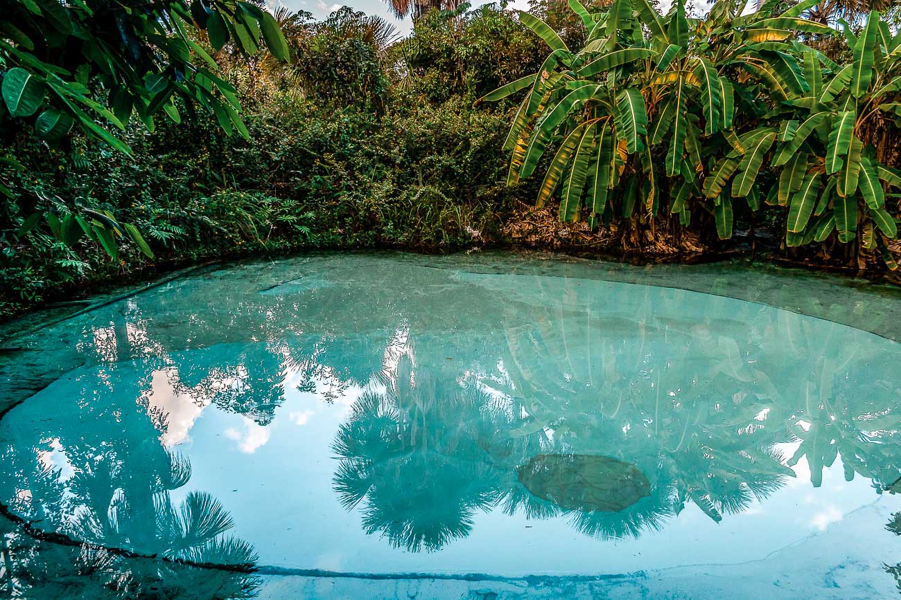 O que fazer no Jalapão: Fervedouro Bela Vista