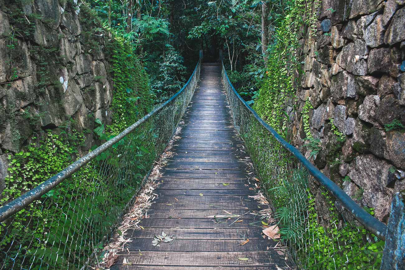 O que fazer em Caraguatatuba: ponte no Parque Estadual Serra do Mar