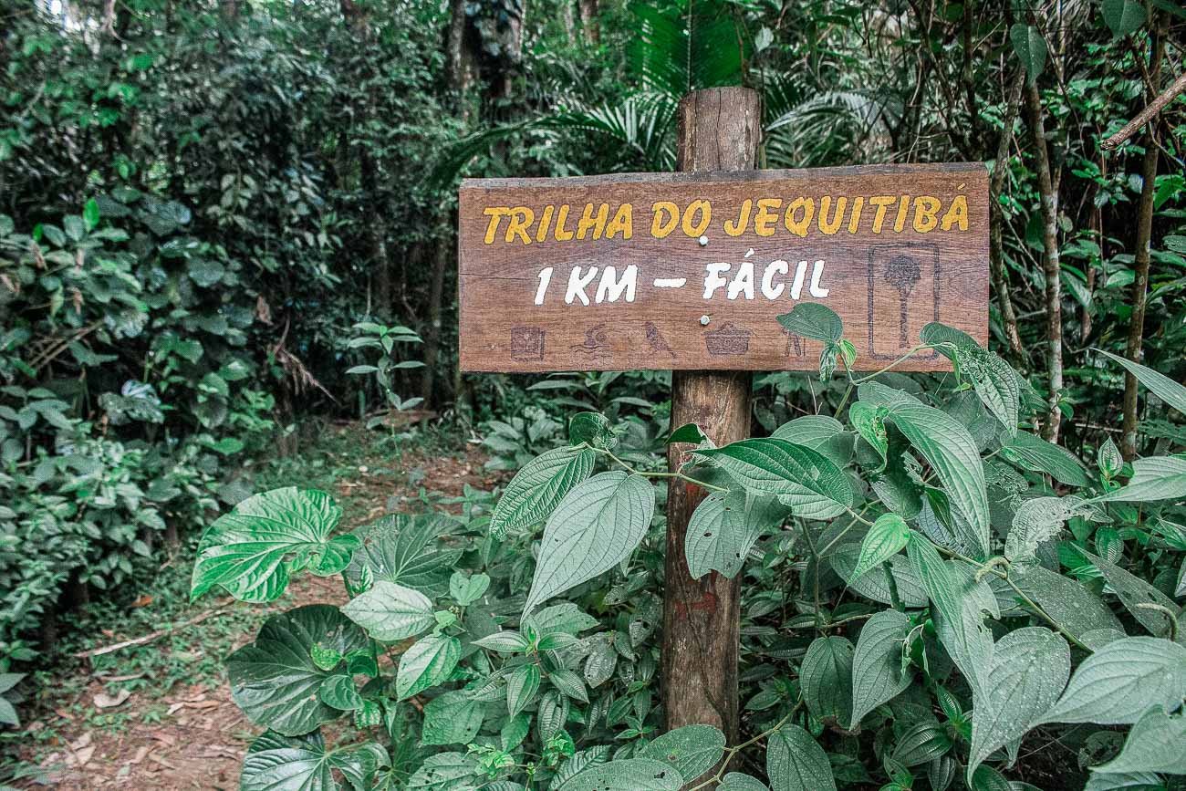 O que fazer em Caraguatatuba: Trilha Jequitibá