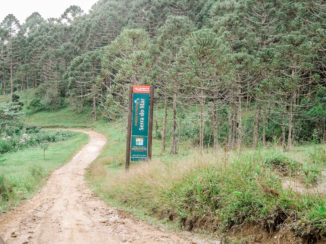 O que fazer em Cunha: Parque Estadual da Serra do Mar