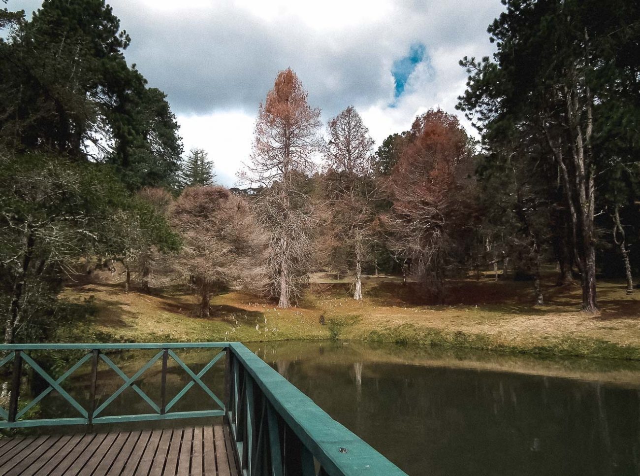 O que fazer em Campos do Jordão: Lago das Carpas 