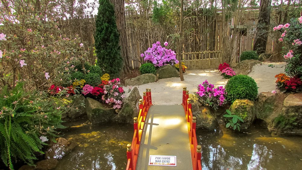 O que fazer em Atibaia: Exposição Flores e Morangos