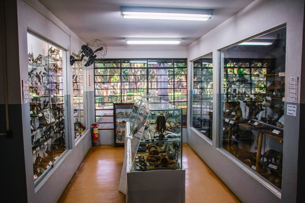 O que fazer em Atibaia: Museu Natural