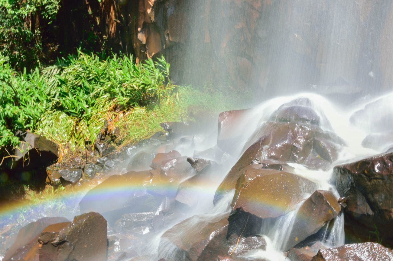 O que fazer em Brotas: Cachoeira das Roseiras