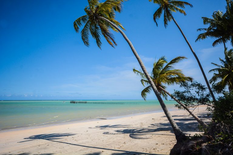 Onde ficar em Maragogi: TOP 14 hotéis, resorts e pousadas (2025)