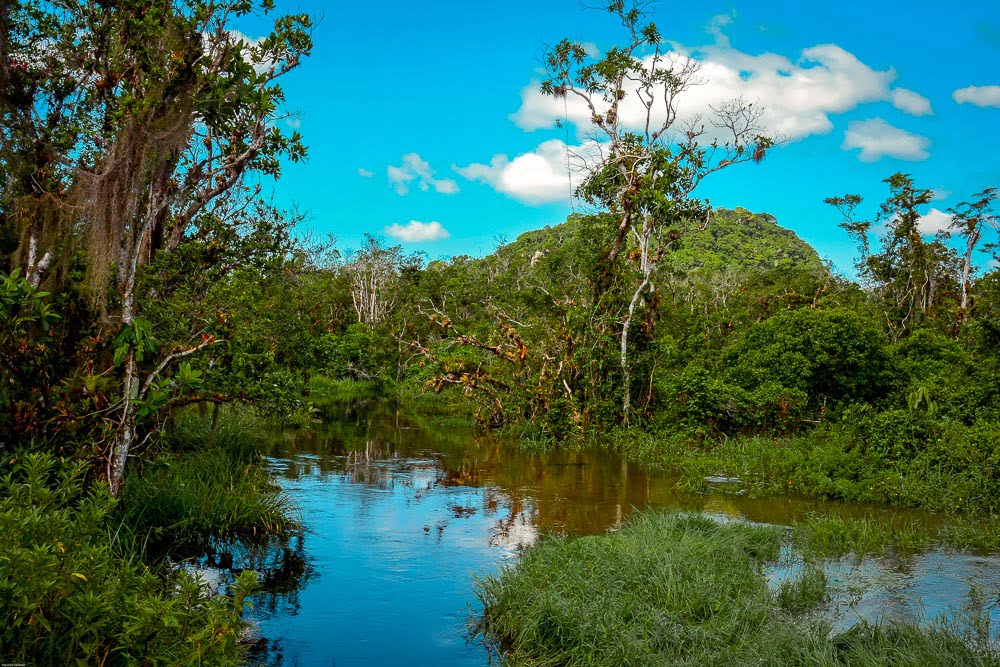 Rio no Parque Estadual Restinga de Bertioga