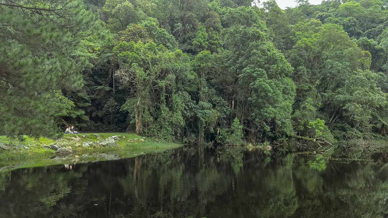 Lago rodeado pela natureza no Parque da Cantareira, com cachoeiras perto de SP