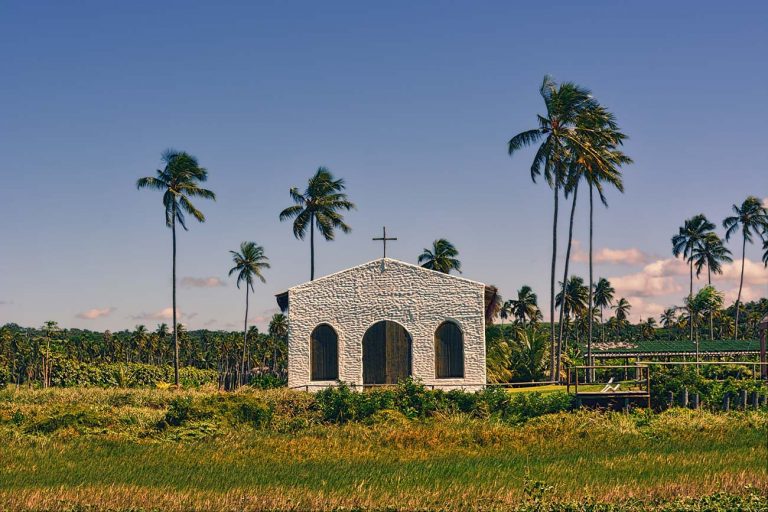 O que fazer em São Miguel dos Milagres: 6 passeios + dicas