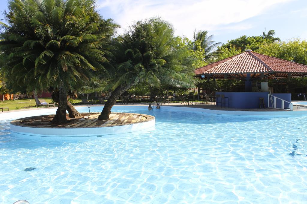 Piscina grande ao ar livre com paisagismo