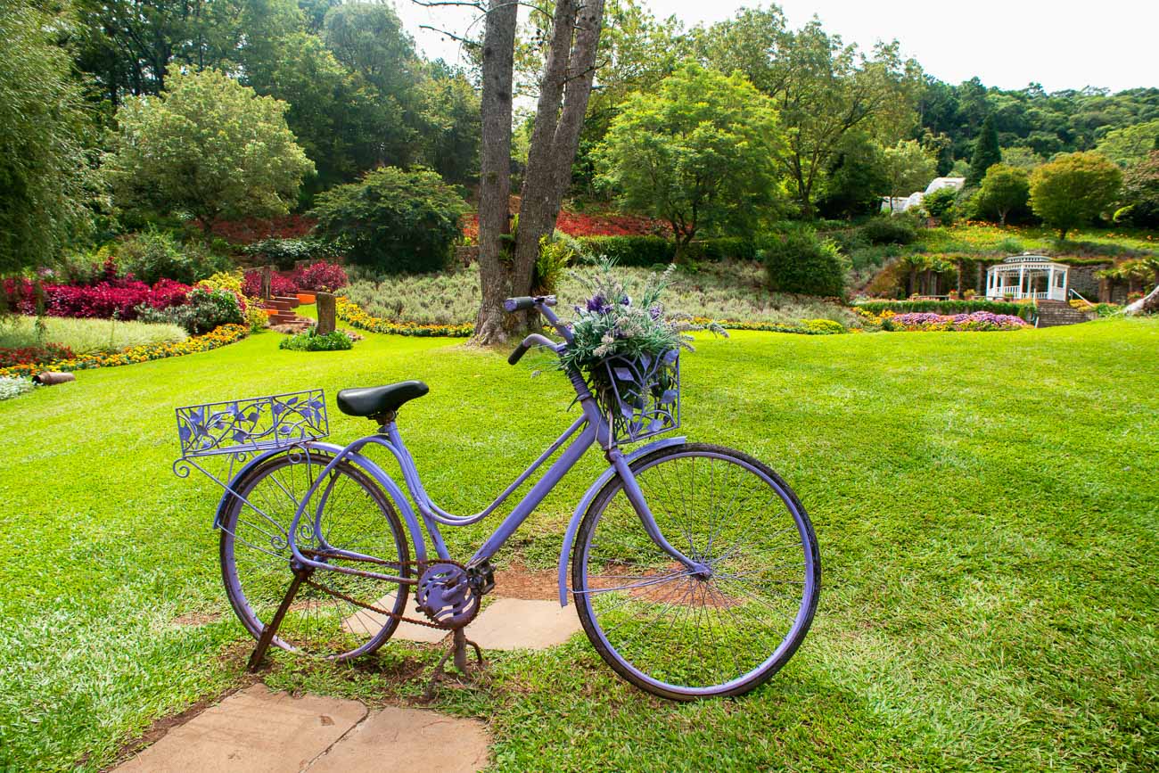 Bicicleta com cesto de flores no Parque Le Lavanda.