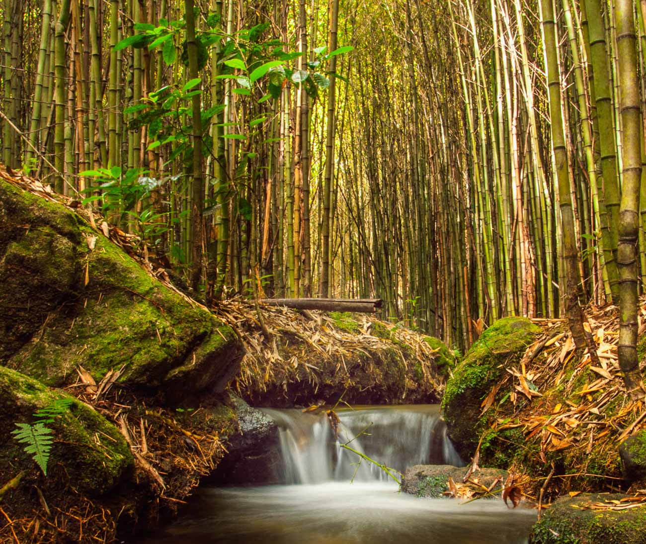Uma das cachoeiras no Parque Serra dos Órgãos em Petrópolis