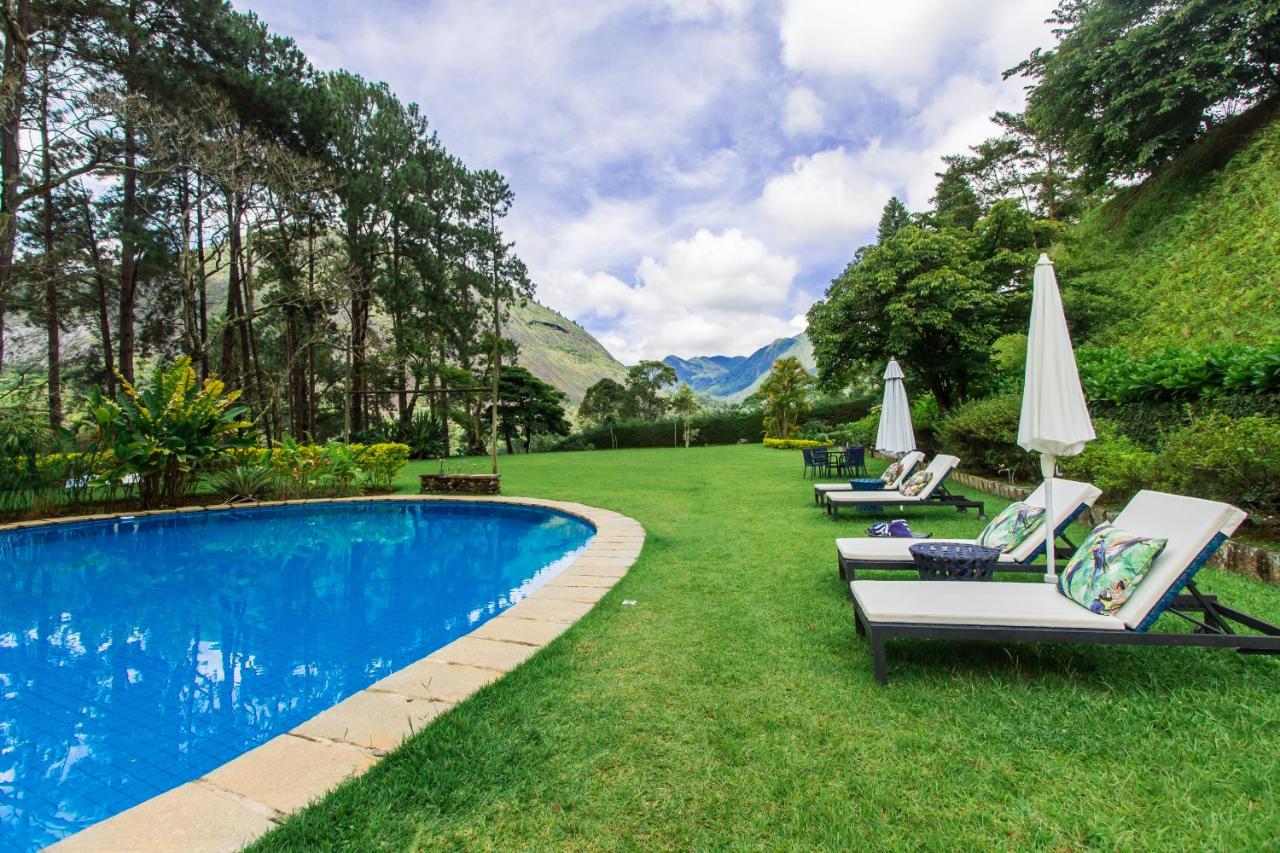 Área gramada cercada por natureza e piscina ao ar livre