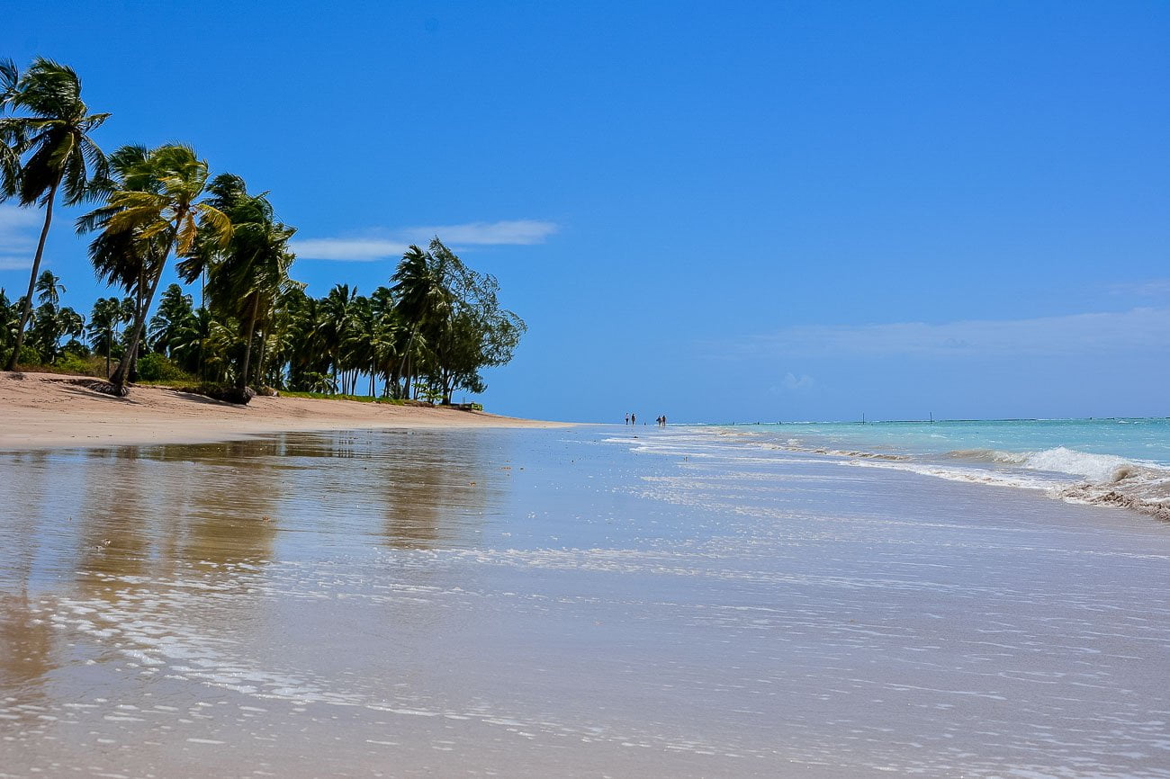 Praia de Antunes em Maragogi com extensa faixa de areia