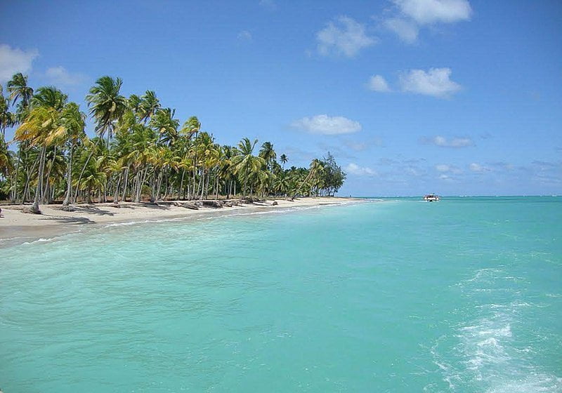 Praia do Antunes em Maragogi com águas cristalinas e cercada por coqueiros