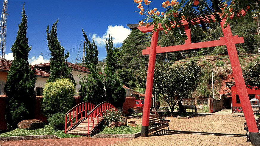 Praça do Artesão, em Santo Antônio do Pinhal, com muitas árvores e uma pequena ponte.