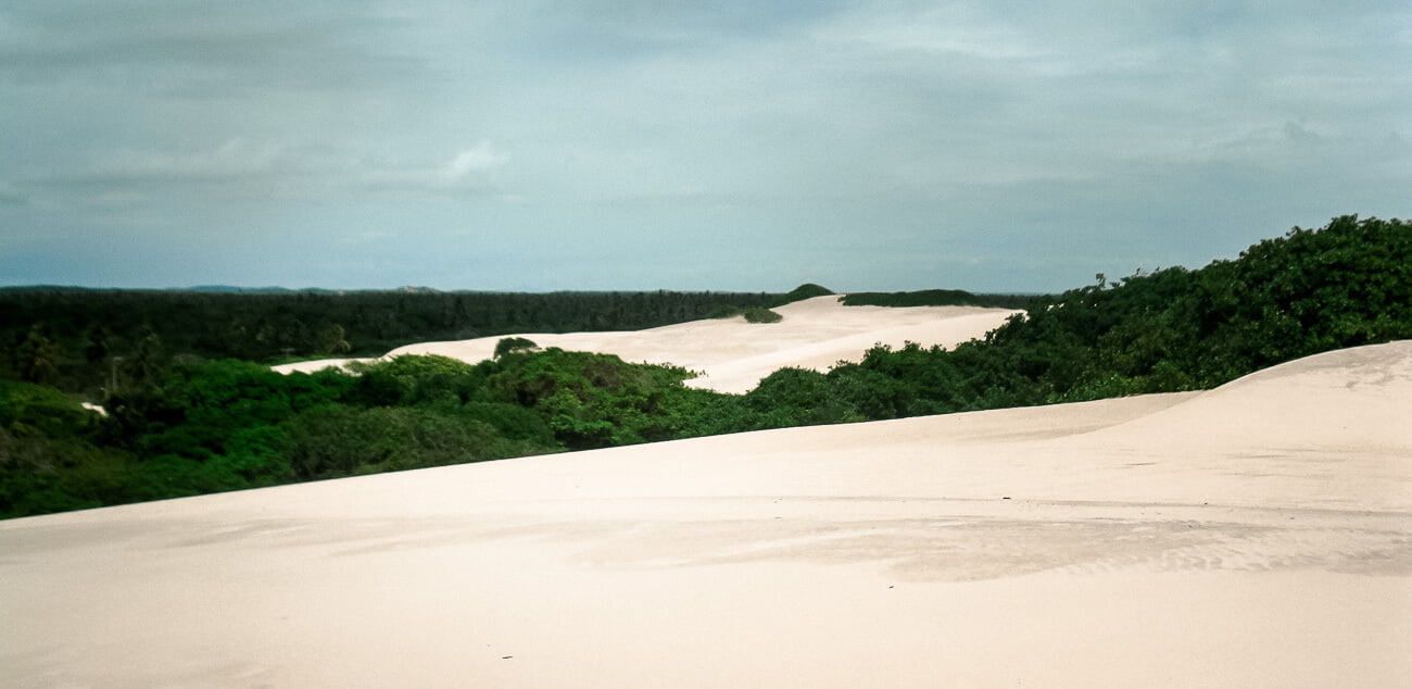 Dunas do Saco com areias brancas e vegetação