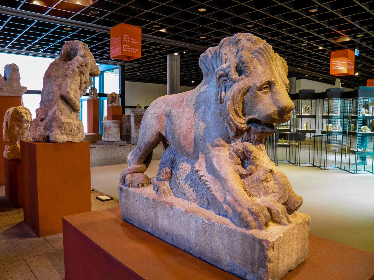 Esculturas de leão no Museu Romano Germanico