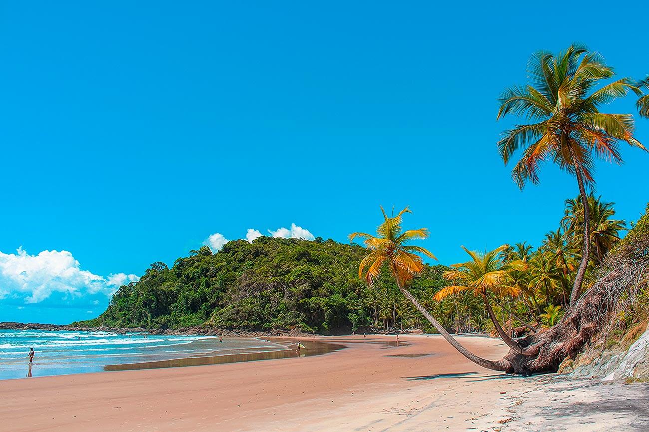 Praia da Engenhoca com coqueiros na areia rosada