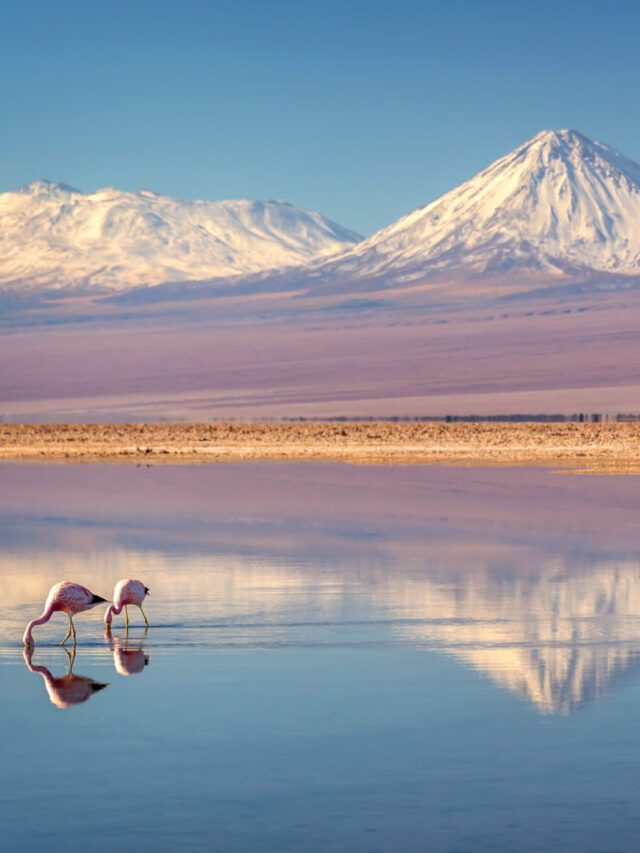 DESERTO DO ATACAMA: DICAS PARA SUA VIAGEM