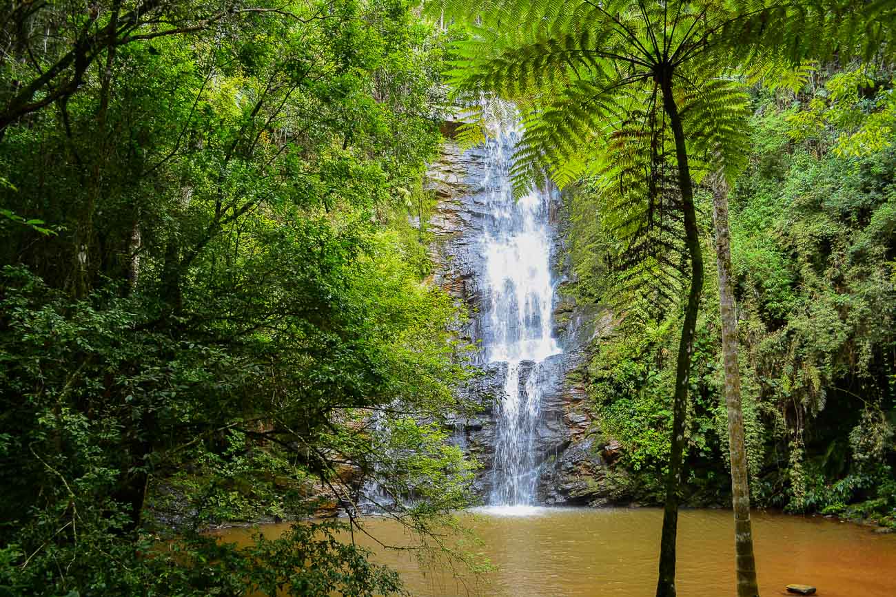 Queda d'água da Cachoeira do Antares em meio à mata