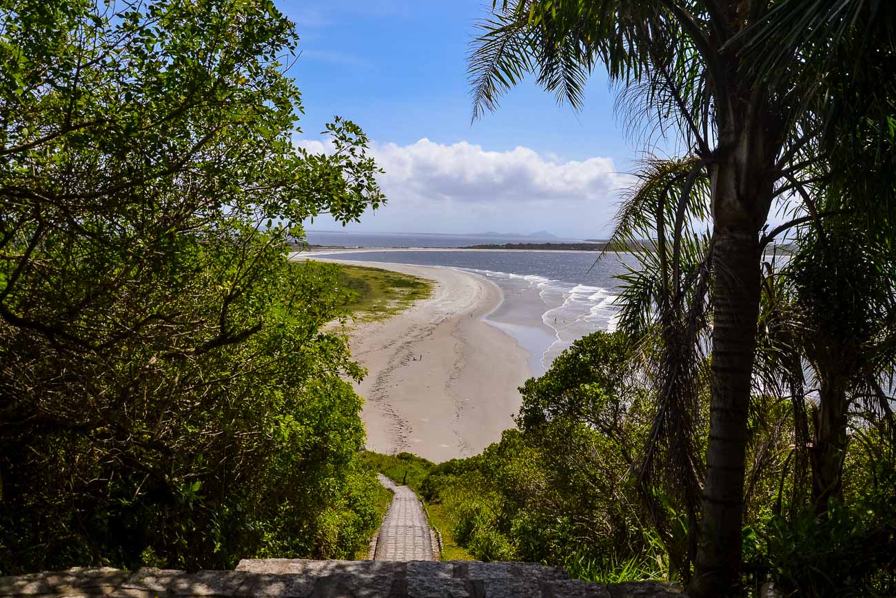 Descida de trilha entre árvores e vegetação na Ilha do Mel