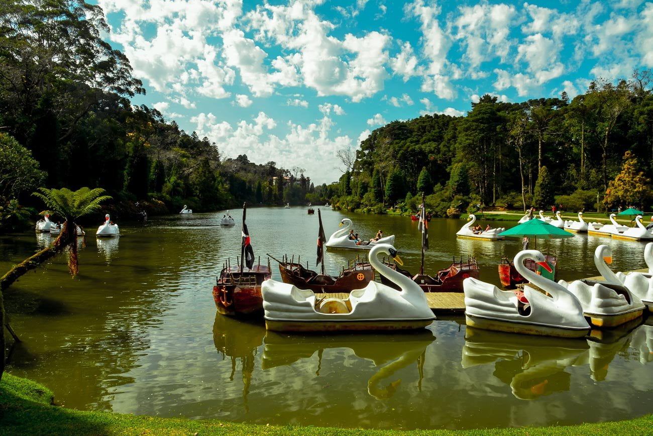 Pedalinhos em formato de cisnes no Lago Negro